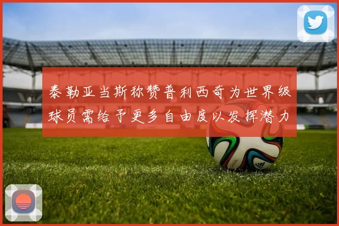 泰勒亚当斯称赞普利西奇为世界级球员需给予更多自由度以发挥潜力