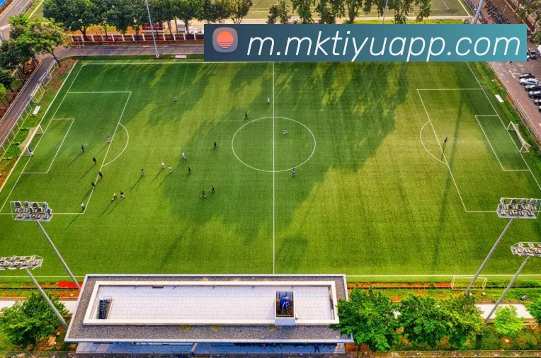 App Interface Preview