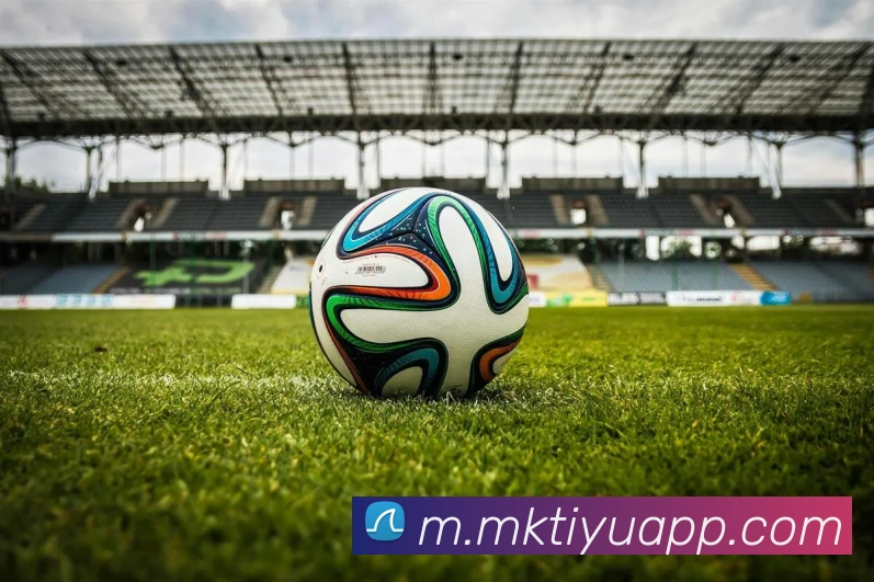 MK体育APP 封面图